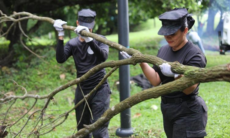 foto de portada de la publicación Éxito en la Jornada de Limpieza del Parque Arqueológico